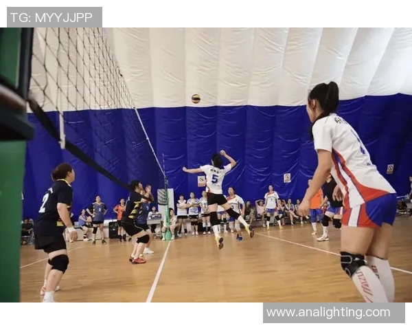 南京排球队的耐力之谜：揭秘排球巨献背后的训练与坚持