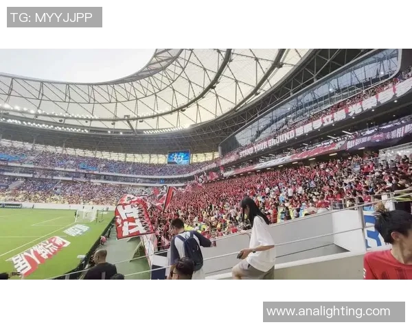 成都网球队实力引发热议球迷对其表现与未来发展展开激烈讨论